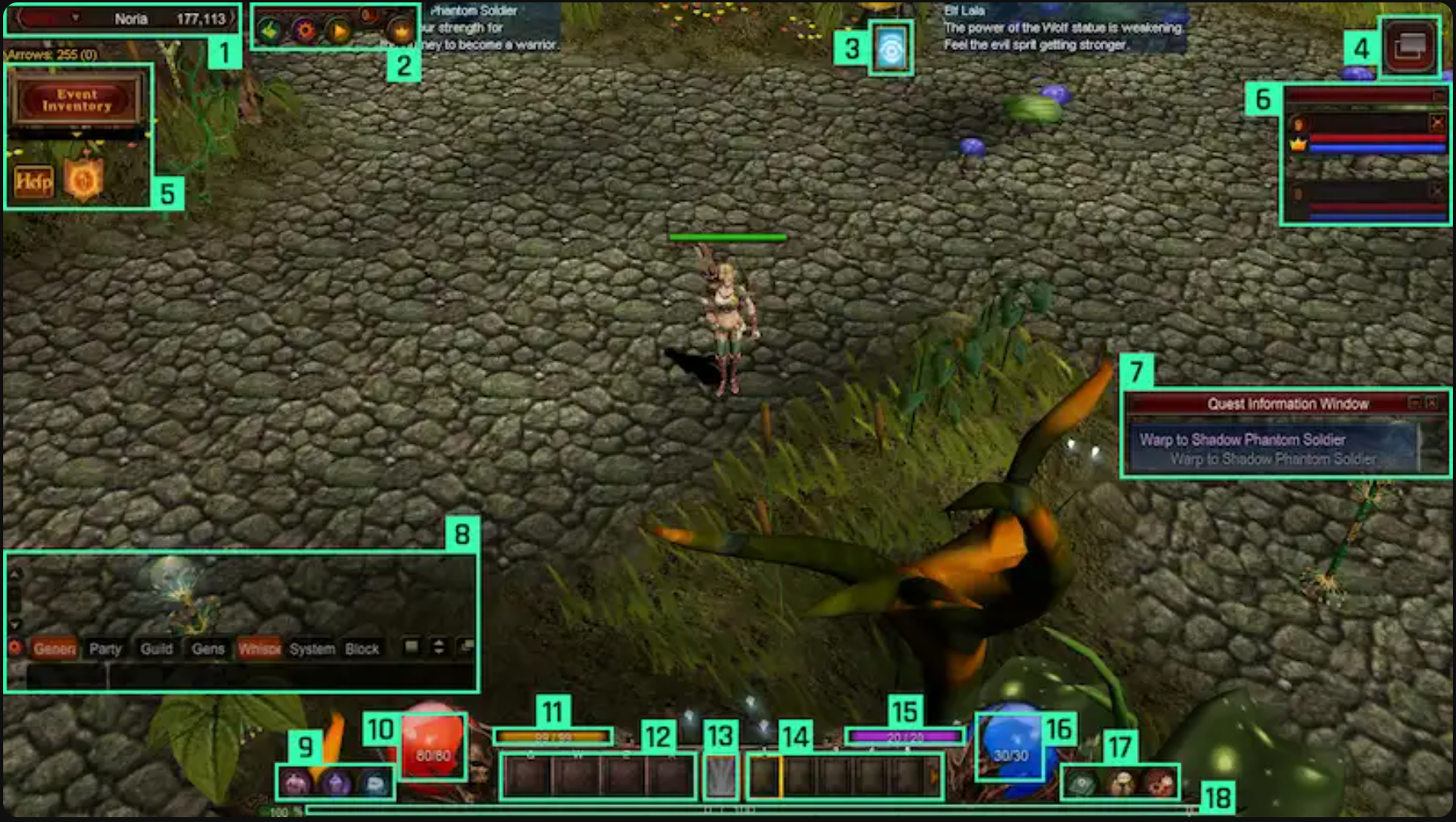 Game Interface Description