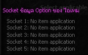 ภาพหน้าต่าง Option ไอเทม